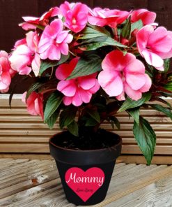 Personalised plant pots and planters
